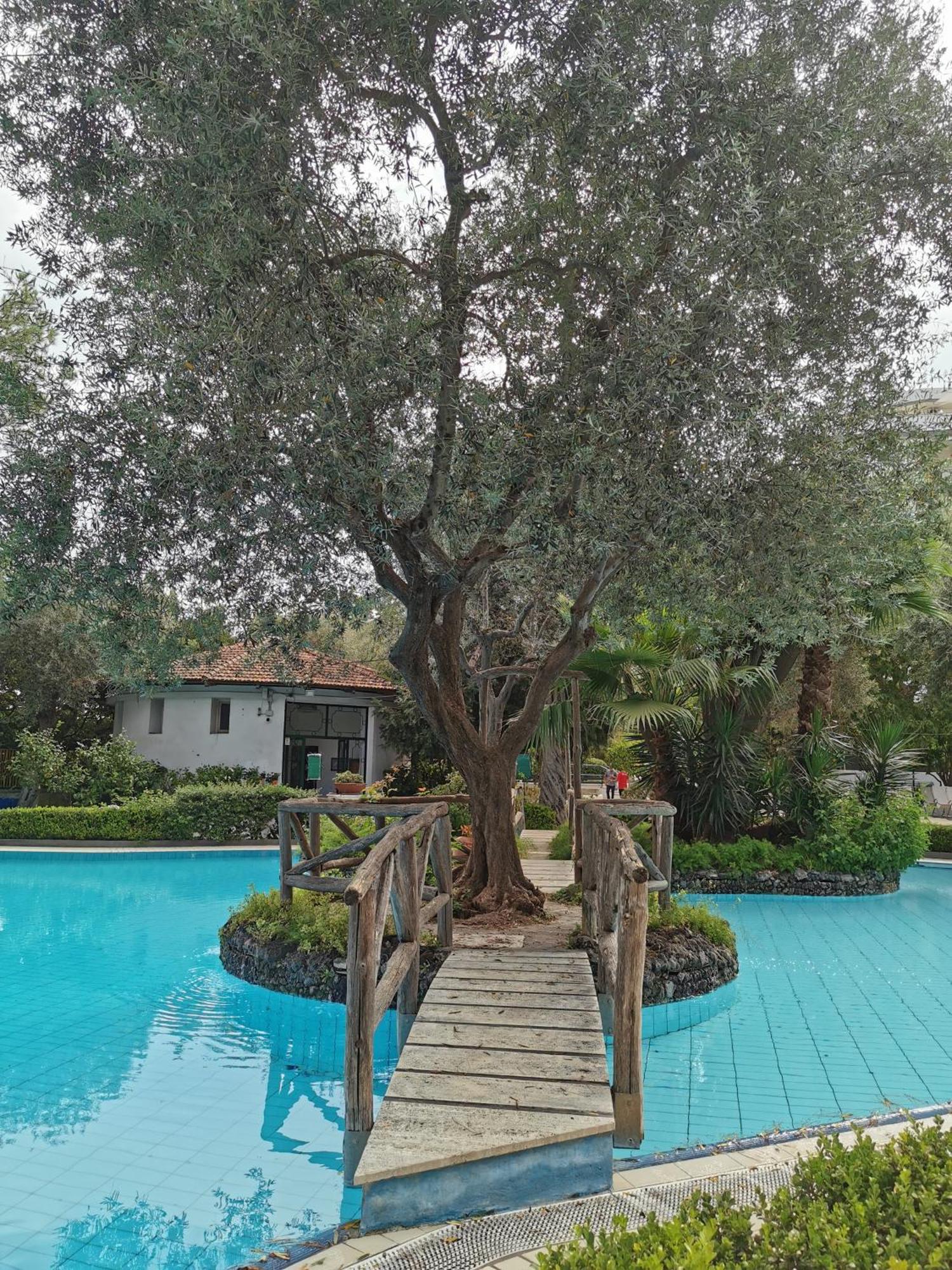 Casa Mar - Elegant Apartment With Pool And Panoramic Terrace In The Heart Of Sorrento Bagian luar foto